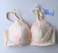 F75　Love gerie　ミスティックアラビアン ブラジャー　訳あり