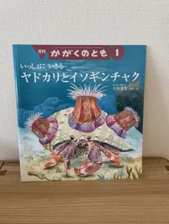 みどど様 リクエスト 2点 まとめ商品