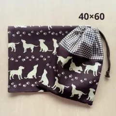 給食セット 巾着&ランチョンマット レトリバー犬＊片紐6のサムネイル