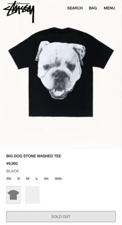 stussy BIG DOG STONE WASHED TEEのサムネイル