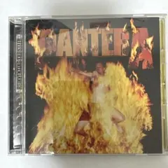 【帯付】PANTERA/REINVENTING THE STEEL激鉄