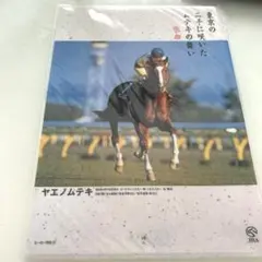 2026年最新】ヒーロー列伝クリアファイルの人気アイテム - メルカリ