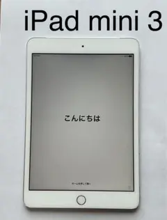 iPad mini 3
