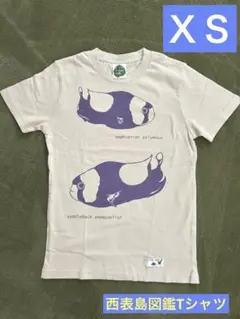 【新品未使用】西表島限定 図鑑Tシャツ トウアカクマノミ XS