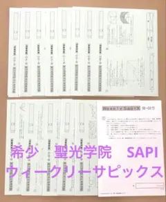 ⑱な 書き込み処理済み SAPIX サピックス 6年 7月度公開テスト 2回分