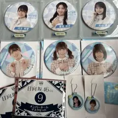 日向坂46 ローソンくじ BIG缶バッチ キーホルダー マスク