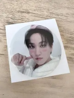 StrayKids スキズ EXHIBITION 展示会 缶バッチ チャンビン