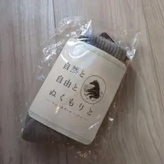 Item thumbnail for item ae3cfeb3-b8ea-4d9a-8b9d-24de53d9322d