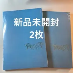 新品未開封ALD1 少年BEAST Cementic Nest Ver