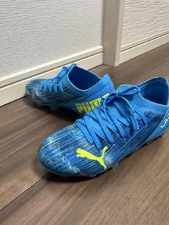 Item thumbnail for item 1c38531e-2986-46d5-a623-24efbdc89836