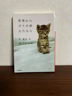 Item thumbnail for item 5fa7ef61-e7c8-4d14-b9b3-8d12874b6100