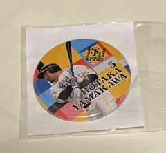 2026年最新】若鷹ガチャの人気アイテム - メルカリ