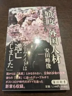 「低度」外国人材 移民焼き畑国家、日本