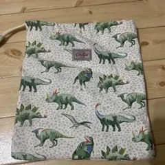恐竜柄　キャスキッドソン  マルチケース
