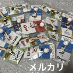タオルおまけ付き！横浜DeNAベイスターズ diana sakuraさんグッズ