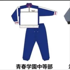 【刺繍入り】入江奏多 おてふぇす テニソニ ジャージ 高校生 U-17 刺繍入り】入江奏多 おてふぇす テニソニ ジャージ 高校生 U-17 - メルカリ