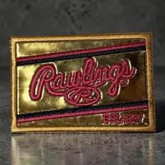 Rawlings ローリングス ゴールドラベルのサムネイル