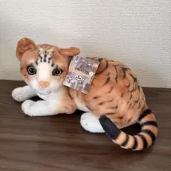リアルアニマル　約36cm 猫うつ伏せぬいぐるみ7