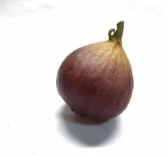 Item thumbnail for item 2448f6a4-16f8-4916-9a9f-1060bb6aee9a