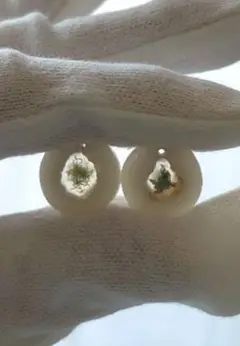 New❗️① ソーラーモスアゲート ピアス.イヤリング用 ペア