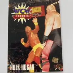 2026年最新】ハルクホーガンの人気アイテム - メルカリ
