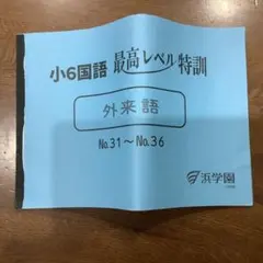 2026年最新】浜学園 小6 最高レベル特訓 テキストの人気アイテム