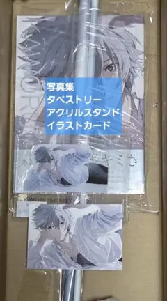 渚カヲル 写真集2 B2タペストリー アクリルスタンド - メルカリ