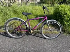 2026年最新】NISHIKI MTBの人気アイテム - メルカリ