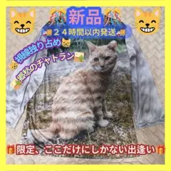 猫シャツ チャトラ プリント 長袖 Mサイズ