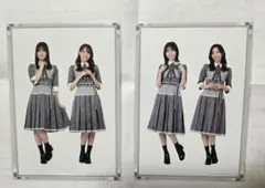 日向坂46 イチャイチャ虫　生写真