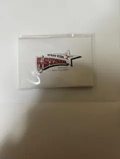 【stray kids】5STAR