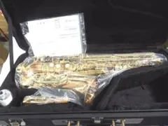 YANAGISAWA アルトサックス A-5 管楽器 ケース付 吹奏楽 - メルカリ