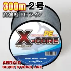 2025年最新】釣り糸の人気アイテム - メルカリ