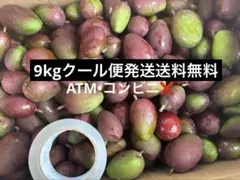 摘果青マンゴー（25g〜150g）15K - メルカリ