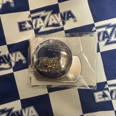 2026年最新】矢沢永吉 ピンバッジの人気アイテム - メルカリ