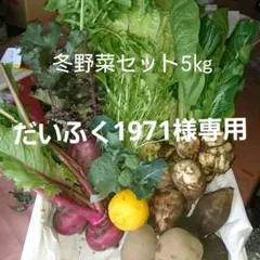 だいふく1971様専用