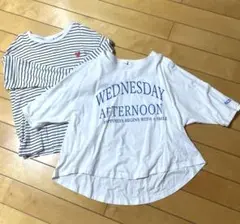 RICO SUCURE ドルマン七分袖Tシャツ 、ブランシェスロンTセット