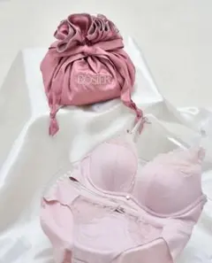 ROSIERランジェリーポーチ 비매품 herlipto