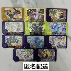 포켓몬 フレンダ スーパートレジャー 묶음 판매 スペシャル 뮤츠