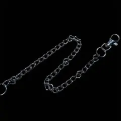 2026年最新】ステューシー ウォレットチェーンの人気アイテム - メルカリ