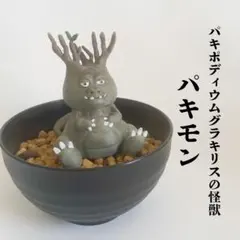 2025年最新】グラキリス 現地球の人気アイテム - メルカリ