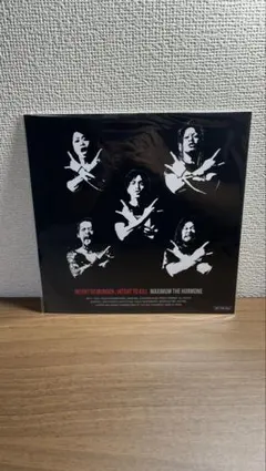 マキシマムザホルモン　生田斗真　メガジャケ　殺意vs殺意