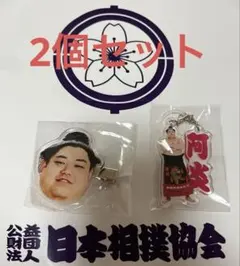 阿炎　ヘアピン　めじるしセット　大相撲ガチャ