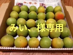 みい、様　専用ページです！