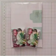 薬屋のひとりごと　豆本キット　C