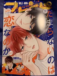 たまらないのは恋なのか 全サ 缶バッジ・ふろく たまらないのは恋なのか 全サ 缶バッジ・ふろく たまらないのは恋