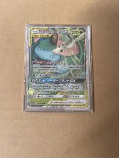 フシギバナ＆ツタージャ GX ポケモンカード