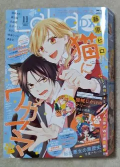 LaLa DX 2025年11月号