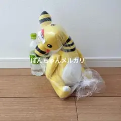 匿名配送★新品未開封タグ付き　ポケットモンスター　デンリュウ　ぬいぐるみ