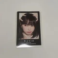 レヴィア チェウォン ステッカー 3枚セット LE SSERAFIM